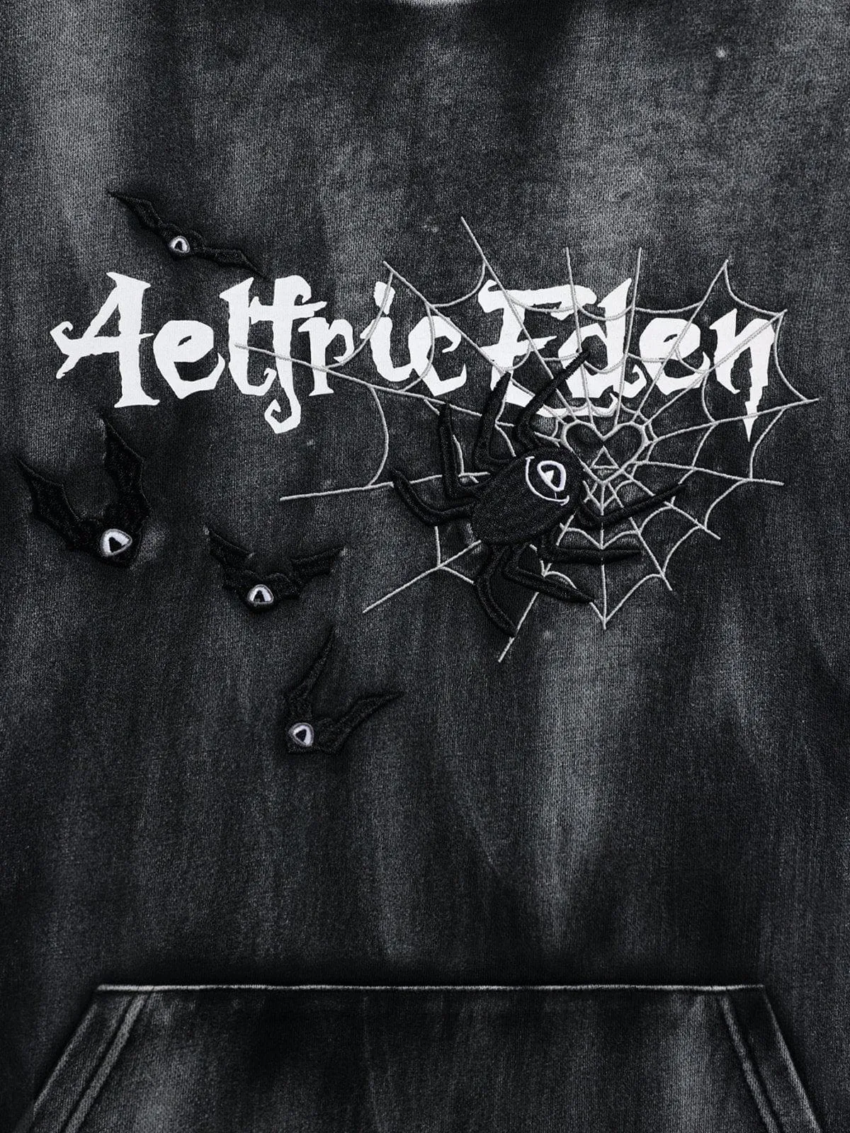 Aelfric Eden Embroidery Bat Spider Washed Hoodie