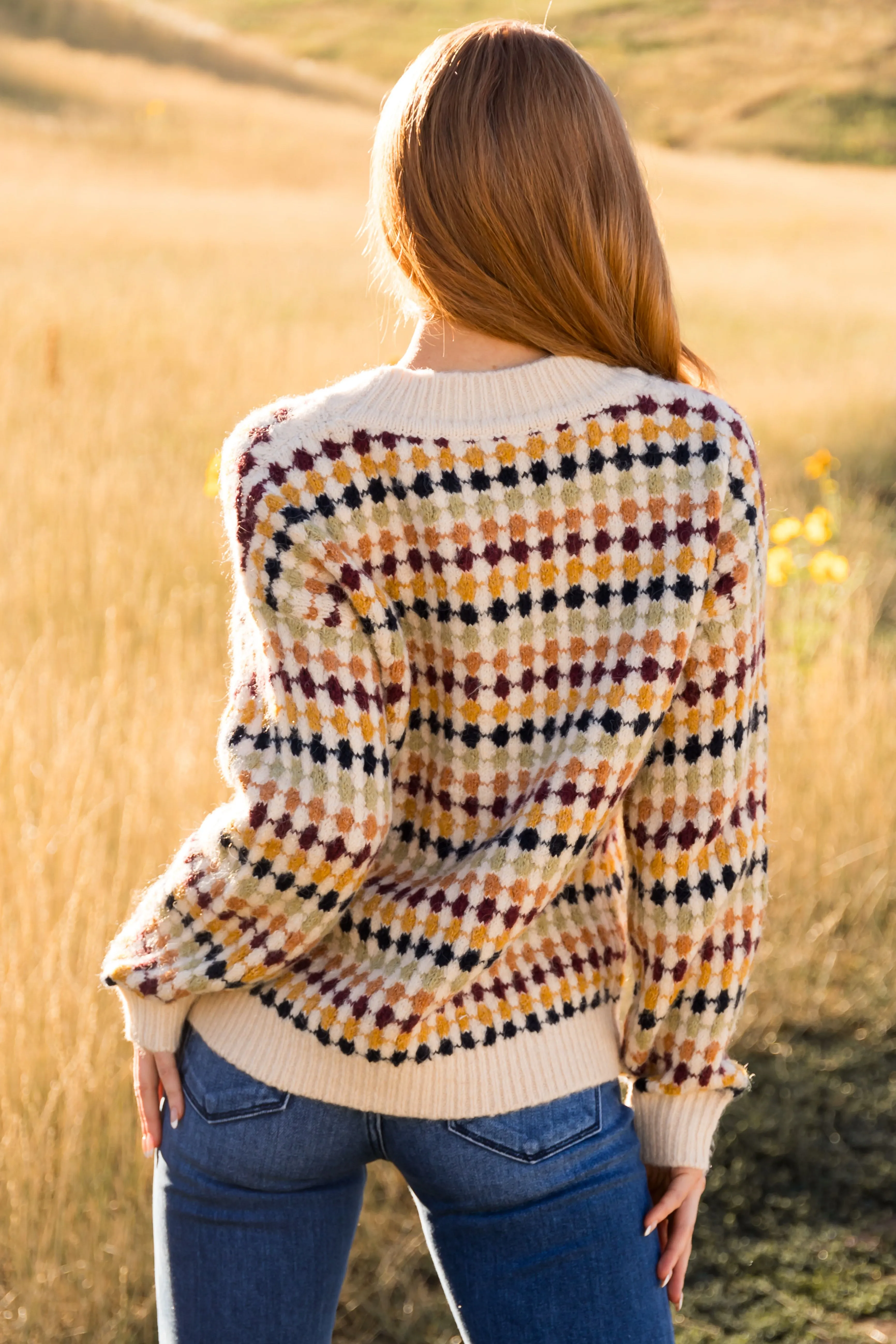 Beige Multicolor Botton Down Sweater Cardigan