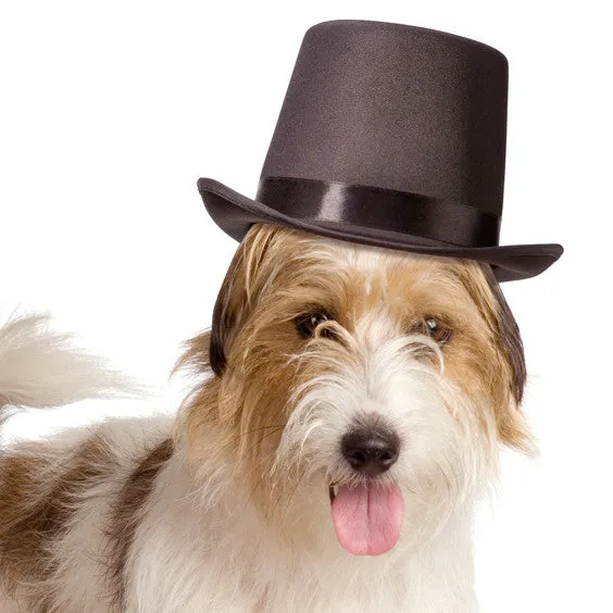 Black Top Hat for Dogs for Wedding Ceremonies - Discontinued