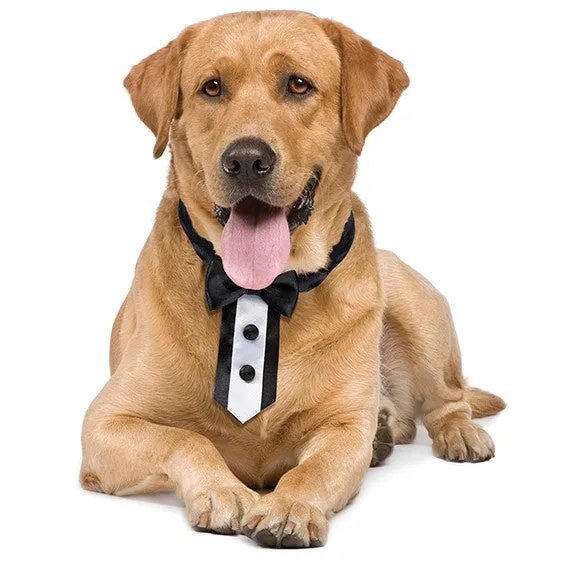 Black Top Hat for Dogs for Wedding Ceremonies - Discontinued