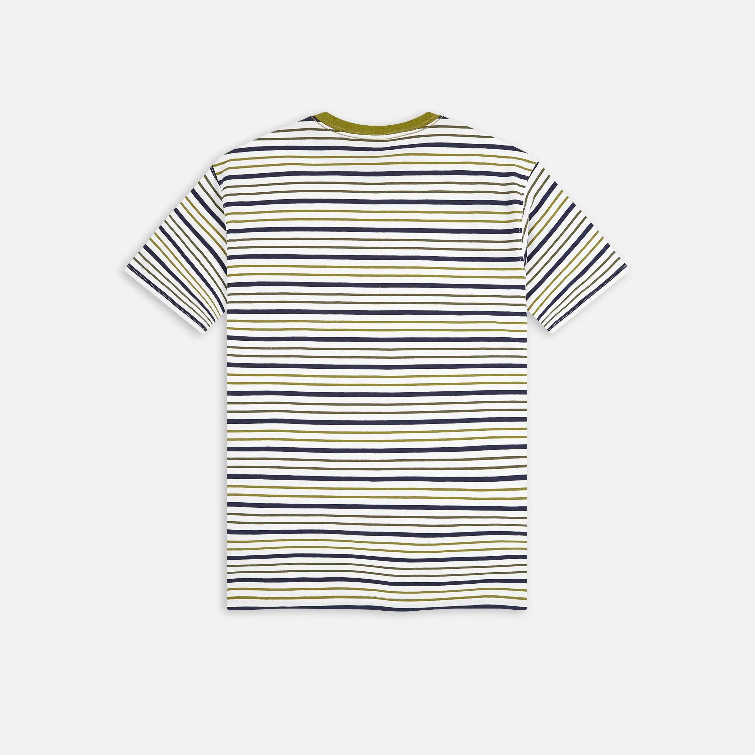 Dickies Skateboarding Stripe Graphic T-Shirt - Green Moss (WES)