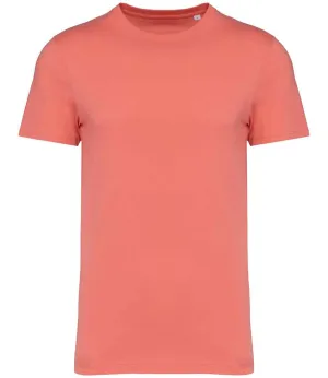 Native Spirit Unisex Heavyweight T-Shirt | Light Coral