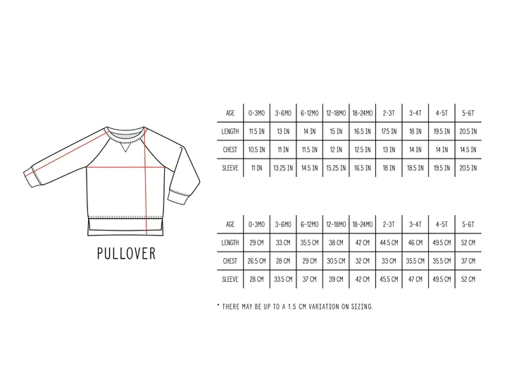 Pullover - Grey