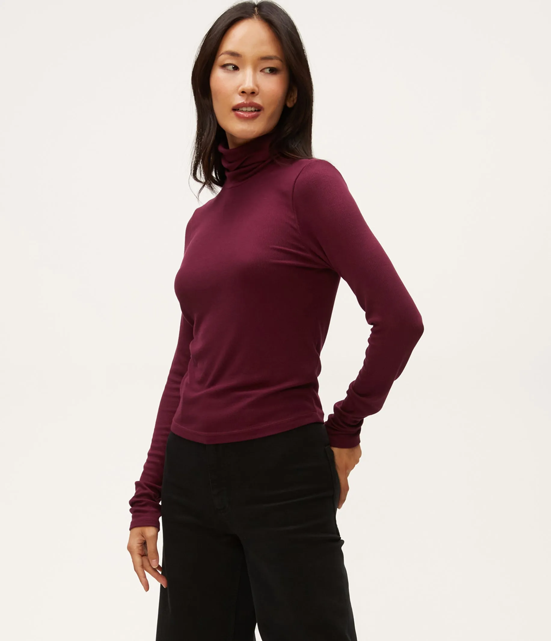 Tara Crop Turtleneck